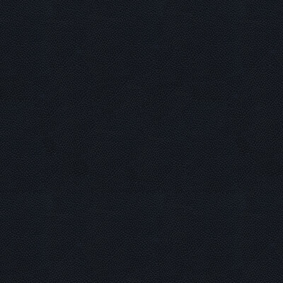 Kravet Couture SIDE KICK.50.0 Side Kick Upholstery Fabric in Black , Black , Shadow
